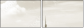 3629029