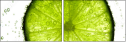 36604434