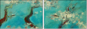 39414869
