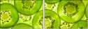 39788050