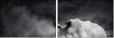 40411231