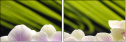 42014292