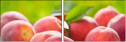 42496953