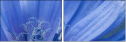 42882077