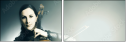 42995367