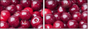 43026743