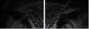 43647000