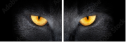 44285895