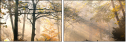 44630410