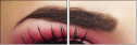 45479444