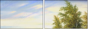 45639773