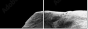 46583459