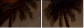 4823952