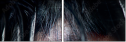 48588820