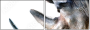49240267