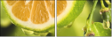 50666087