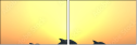 51168696