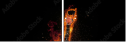 51795324