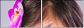 52845719