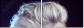 53129402