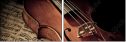 53848073