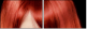 53895869