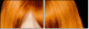 53895937