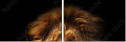 57644723