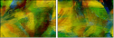 58509769