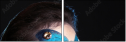61164609