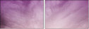 65457825