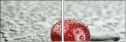 67079233