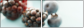 75558207