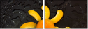 76101824