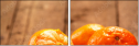 76269505