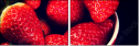 76277931