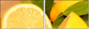 78139394