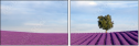 9059586
