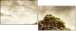 11108613