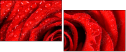 112923652