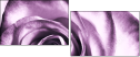 11865044