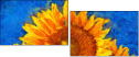 121341764