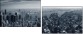 15231738
