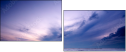 1556608