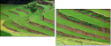 15713254