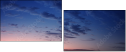 16069076