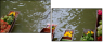 1612424