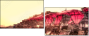 16482006