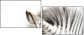 17246984