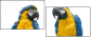 18738718